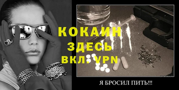 шишки Новодвинск