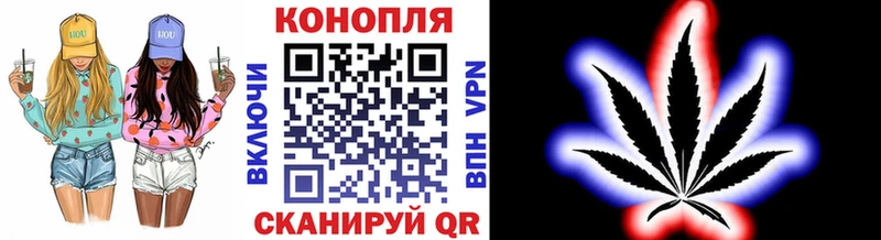 Бошки Шишки гибрид  Купить закладки  Юрьевец 